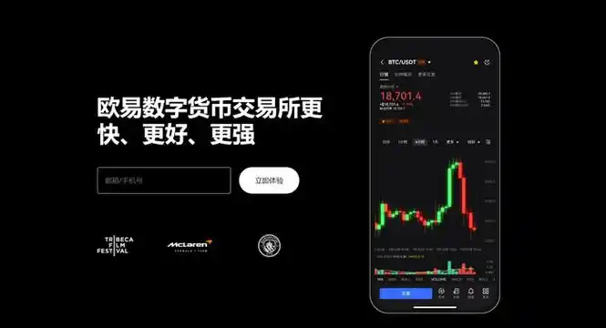 oyi手机端下载平台展示图